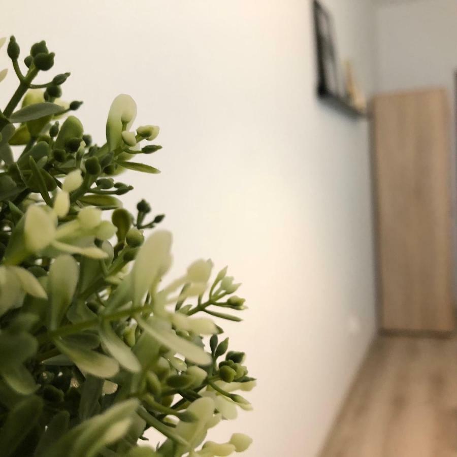Guest house Grottgera Rzeszow